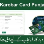Punjab Govt Asaan Karobar Card 2025 – Apply Online & Track Application Status