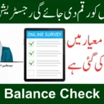 BISP Balance Status 2025 – How to Check September Payment via CNIC