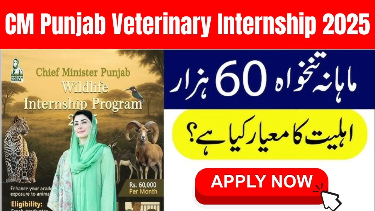 CM Punjab Veterinary Internship 2025 – Earn Rs.60,000 Monthly with Training