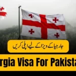 Georgia Visa for Pakistani Citizens 2025 – Online Apply, Requirements, Fee (Complete Guide)