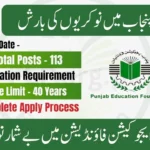 Punjab Education Foundation Jobs 2025 – 100+ Vacancies Announced with Salary Up to Rs. 200,000