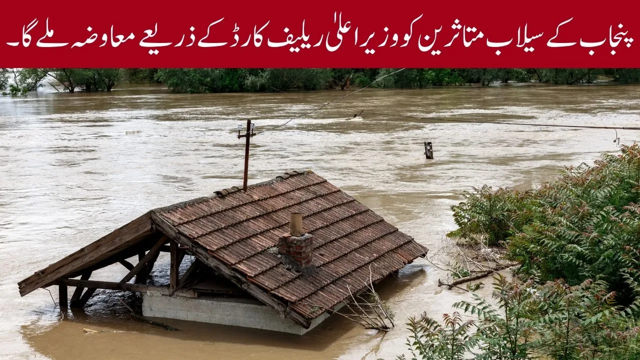 Breaking News: Punjab Flood Victims 2025 to Receive Compensation via CM Relief Card