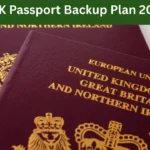 UK Passport Backup Plan 2025 – A Practical Guide for Pakistanis Abroad