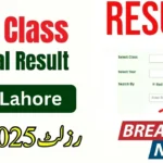 BISE 11th Class Result 2025 Check by Name, Roll Number, SMS & Gazette