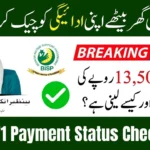 Latest Update: BISP 8171 Payment Status Check 2025: Verify Online by CNIC