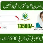 BISP 8171 Validation Portal October 2025 – Confirm Rs13,500 Support Latest Update