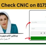 8171.bisp.gov.pk 2025 Portal: Check CNIC, Registration & Payments Online