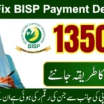 BISP Payment Delay Reasons 2025 and Solution (Complete Step-By-Step Guide)