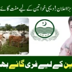 Free Cows and Buffaloes for Rural Women in Punjab 2025 – Livestock Distribution Program Details